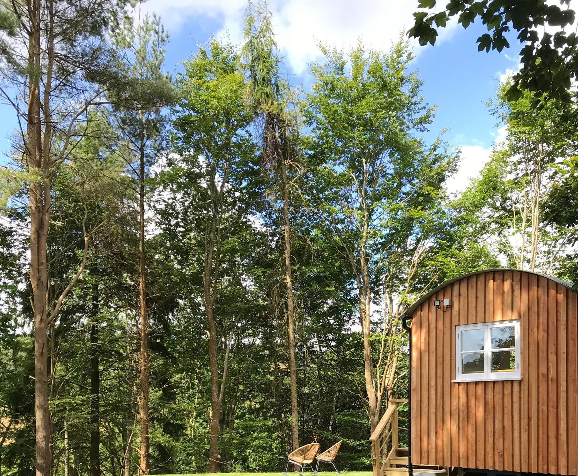 Shepherd'S Hut At Rosewood House ลิสคาร์ด ภายนอก รูปภาพ