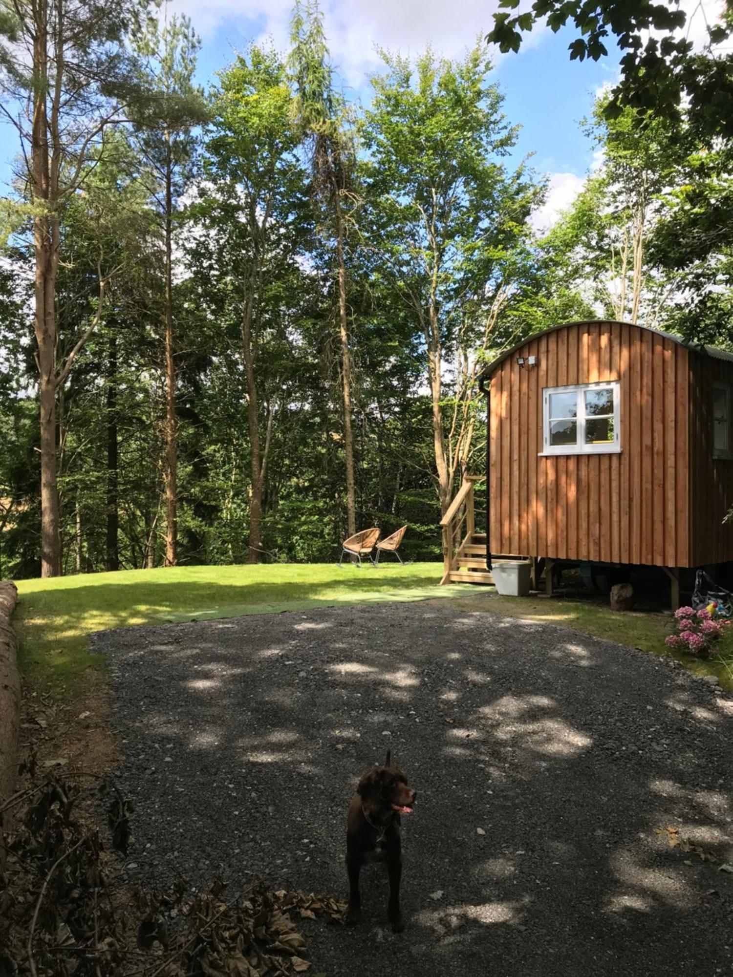 Shepherd'S Hut At Rosewood House ลิสคาร์ด ภายนอก รูปภาพ